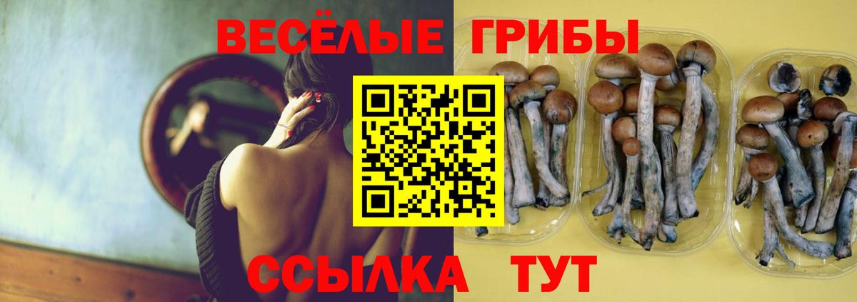 Галлюциногенные грибы мухоморы Печора